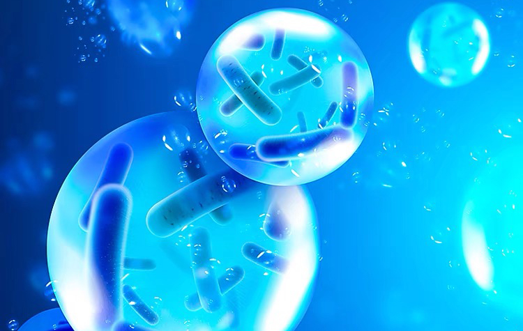 硝化细菌用量,硝化细菌的五大秘诀