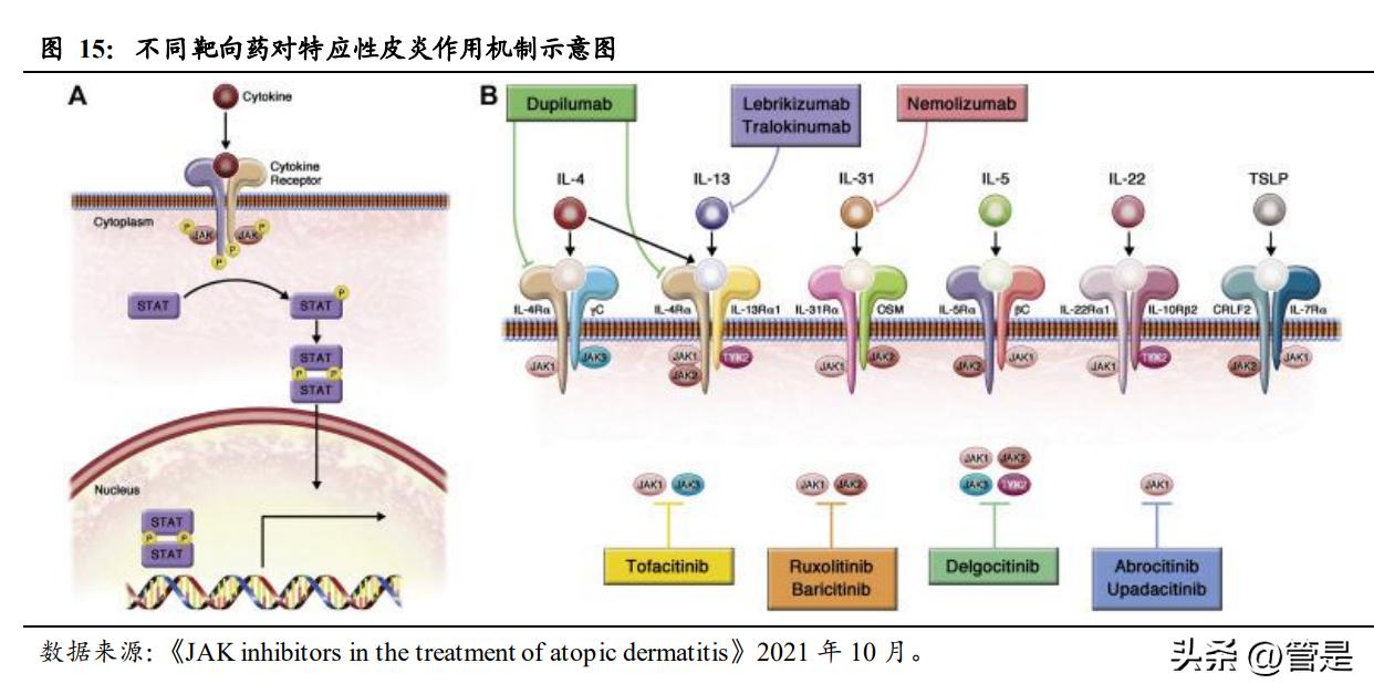 康诺亚生物制剂,康诺亚深度分析