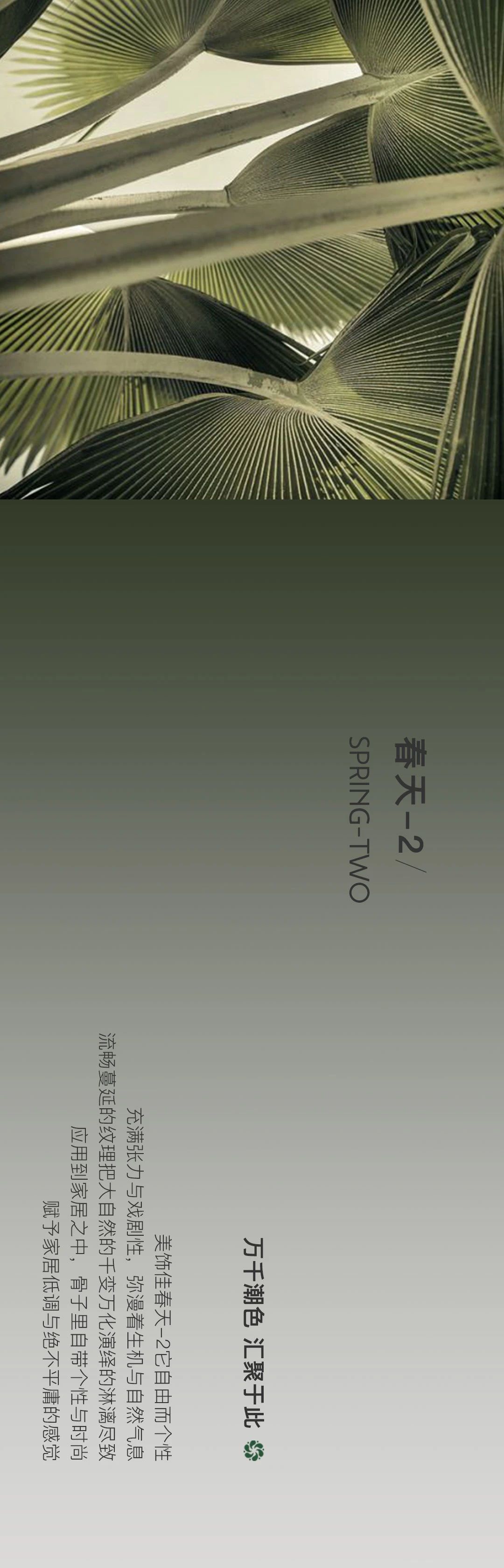 美饰佳装饰纸,美丽佳高端装饰纸