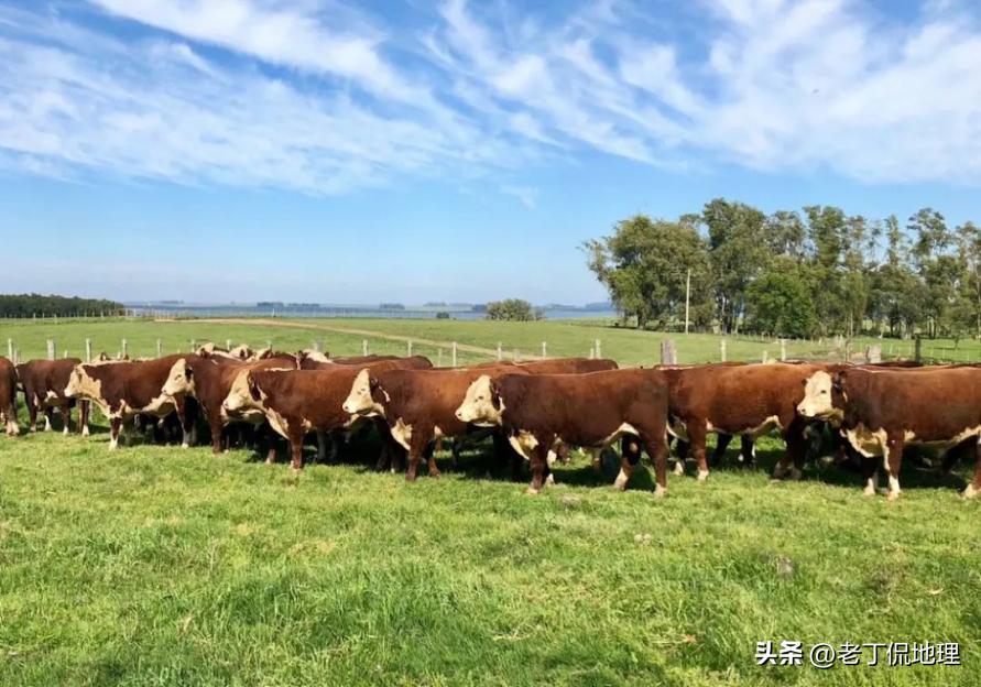 世界杯巡礼乌拉圭,巡礼世界杯乌拉圭