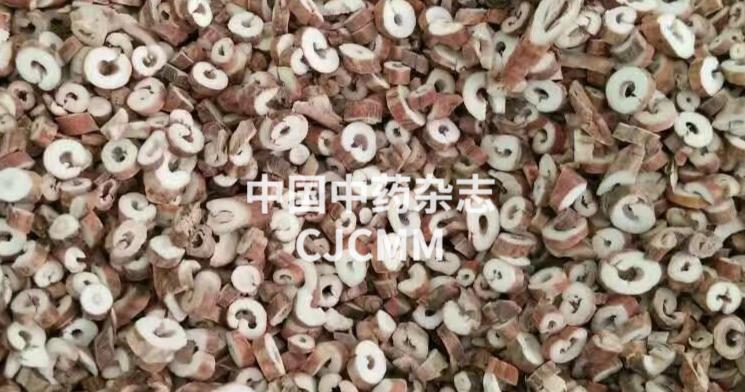 胸口血瘀的症状有哪些,胸口堵气怎么疏通