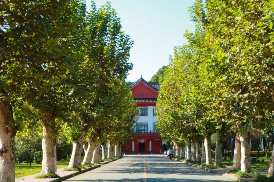 来成都，观太阳神鸟，闻名于世！来川大，听鸾鸣凤语，奏未来之音