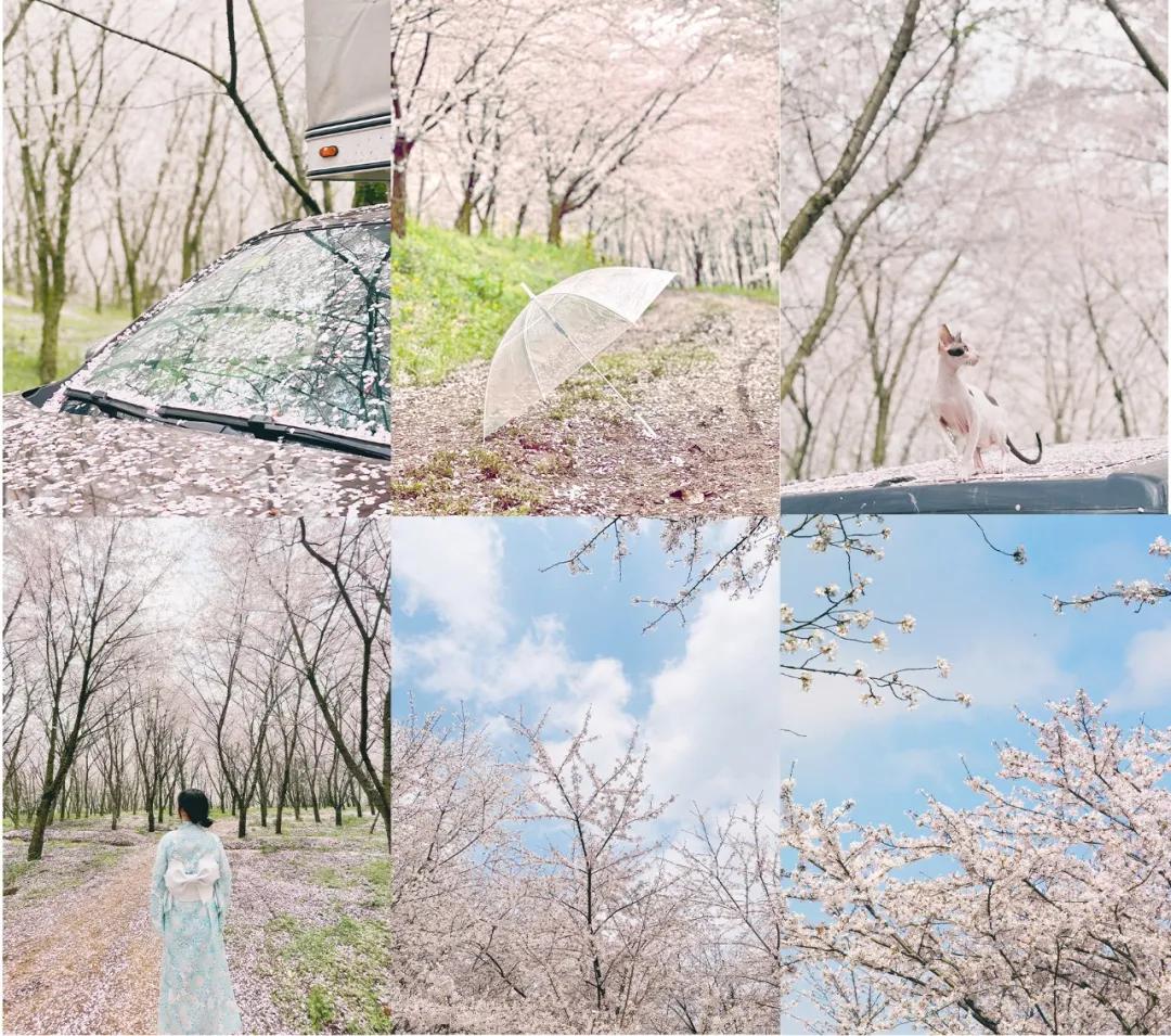 朋友圈拍图技巧,怎么拍好看的图片发朋友圈