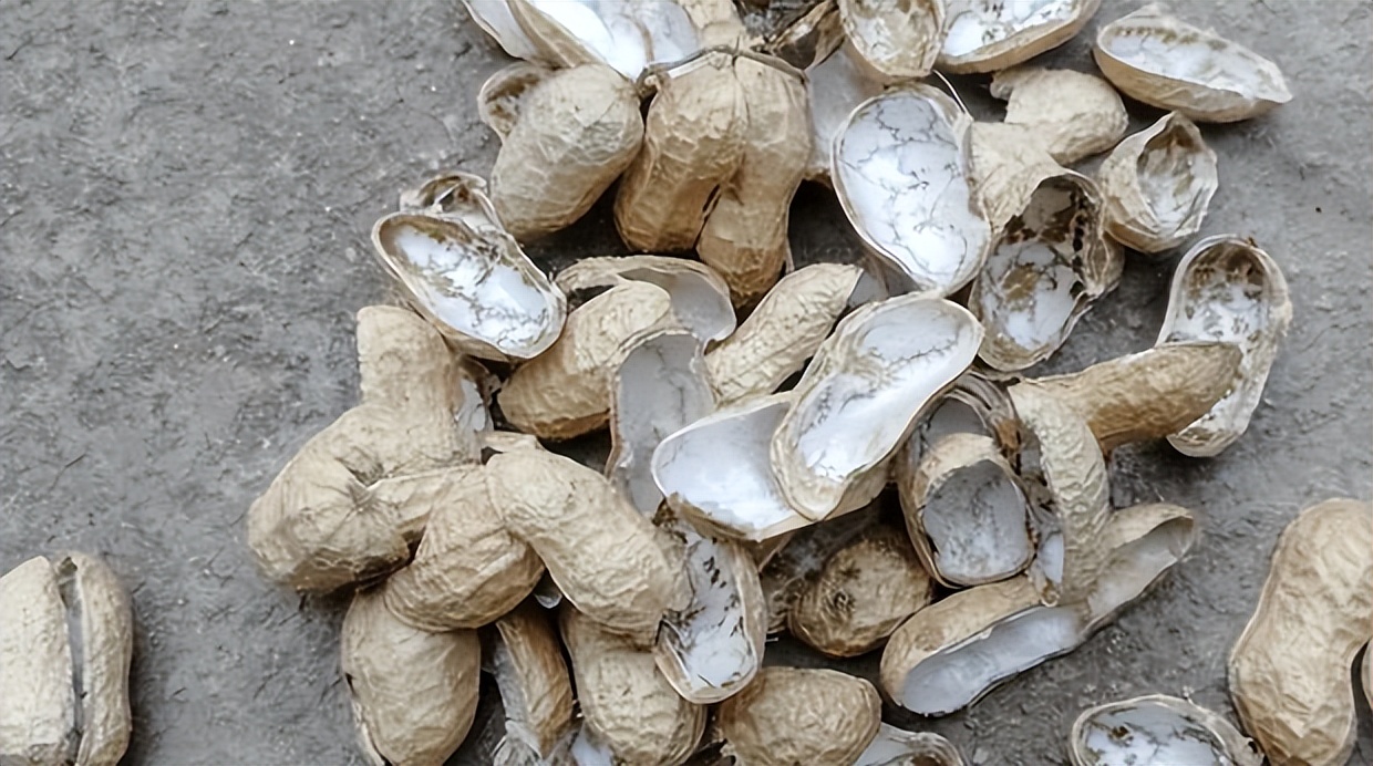 大叔靠回收牛粪一年净赚上千万,广西大叔一年赚多少钱