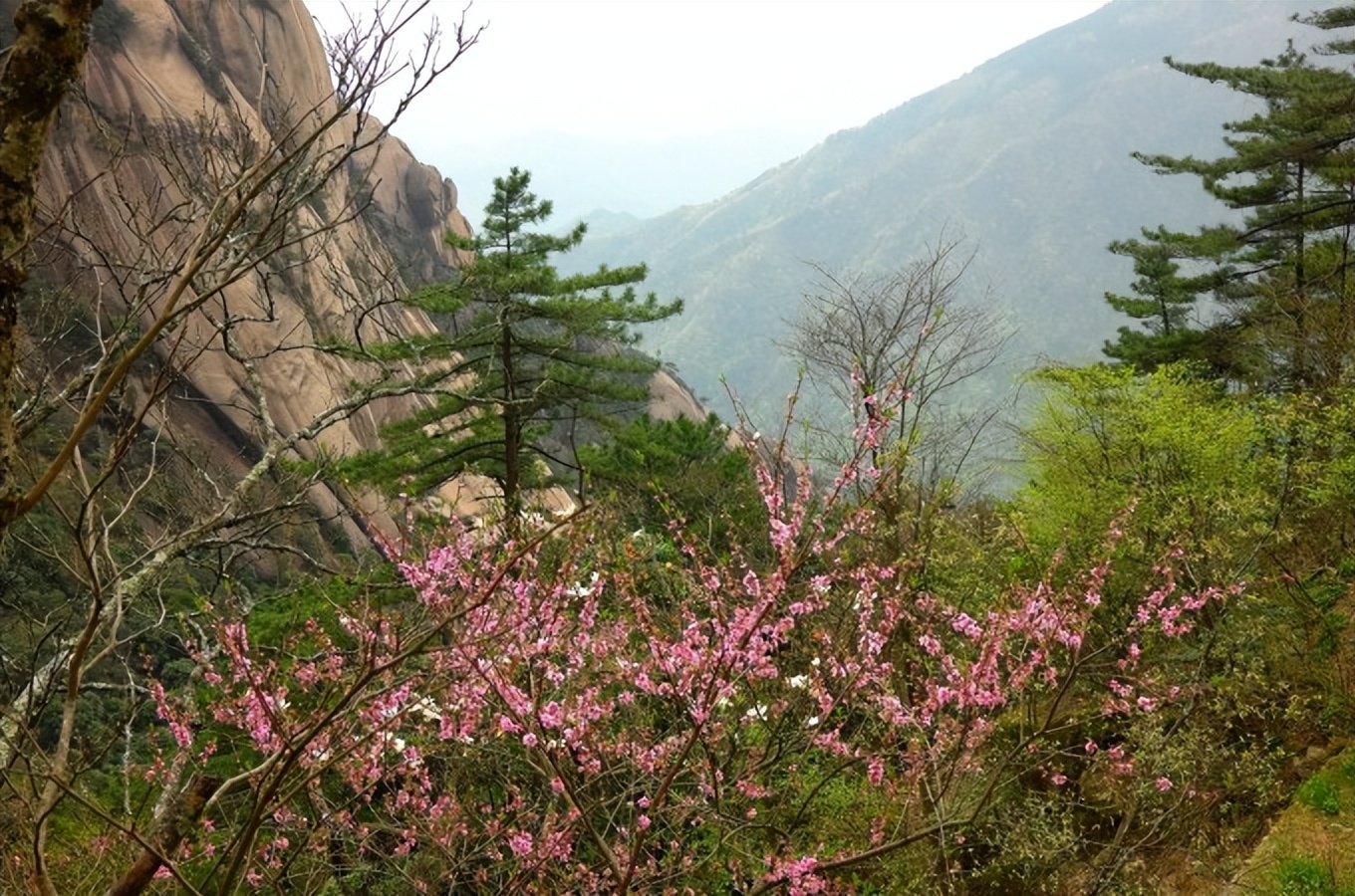 黄山慈光阁到玉屏楼步行多久,爬黄山从慈光阁开始的攻略