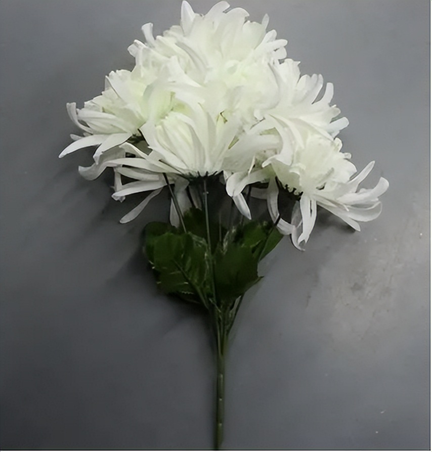 太原闹婚新郎打架后续,青岛伴娘恶性闹婚事件