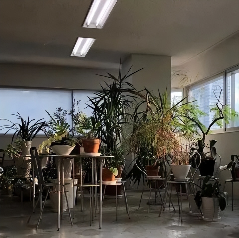 在东京待三天,在东京三天1万够花么