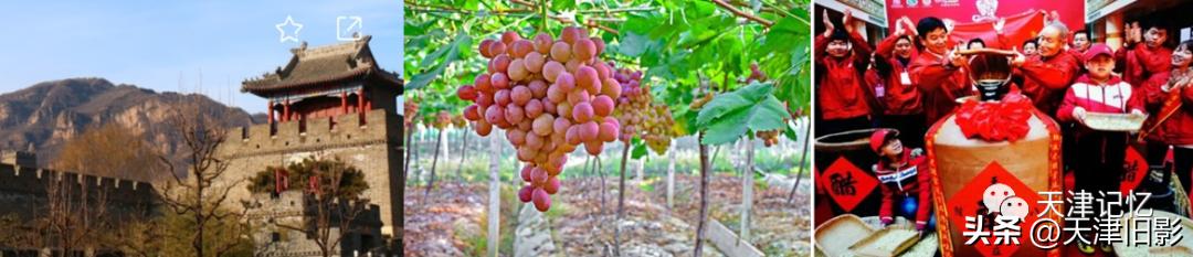 那些年开出租车的日子,那些年开过的出租车