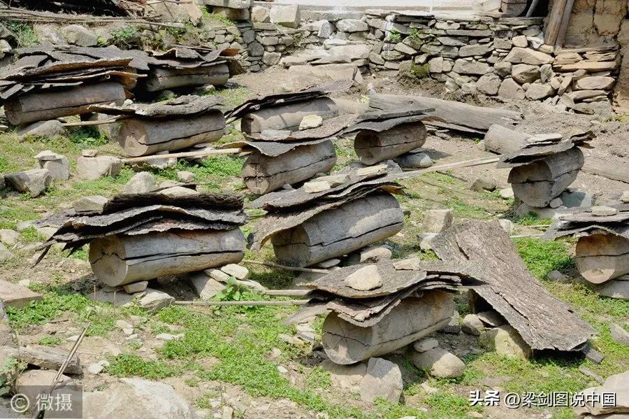 走进大美甘肃我的家，影像记录甘南藏族自治州，卓尼县民族文化。