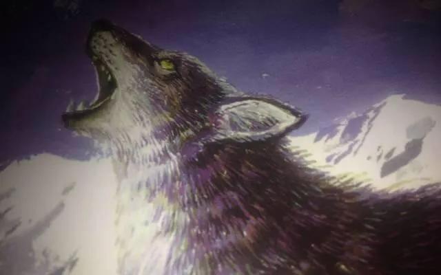 虎年——《狼王梦》