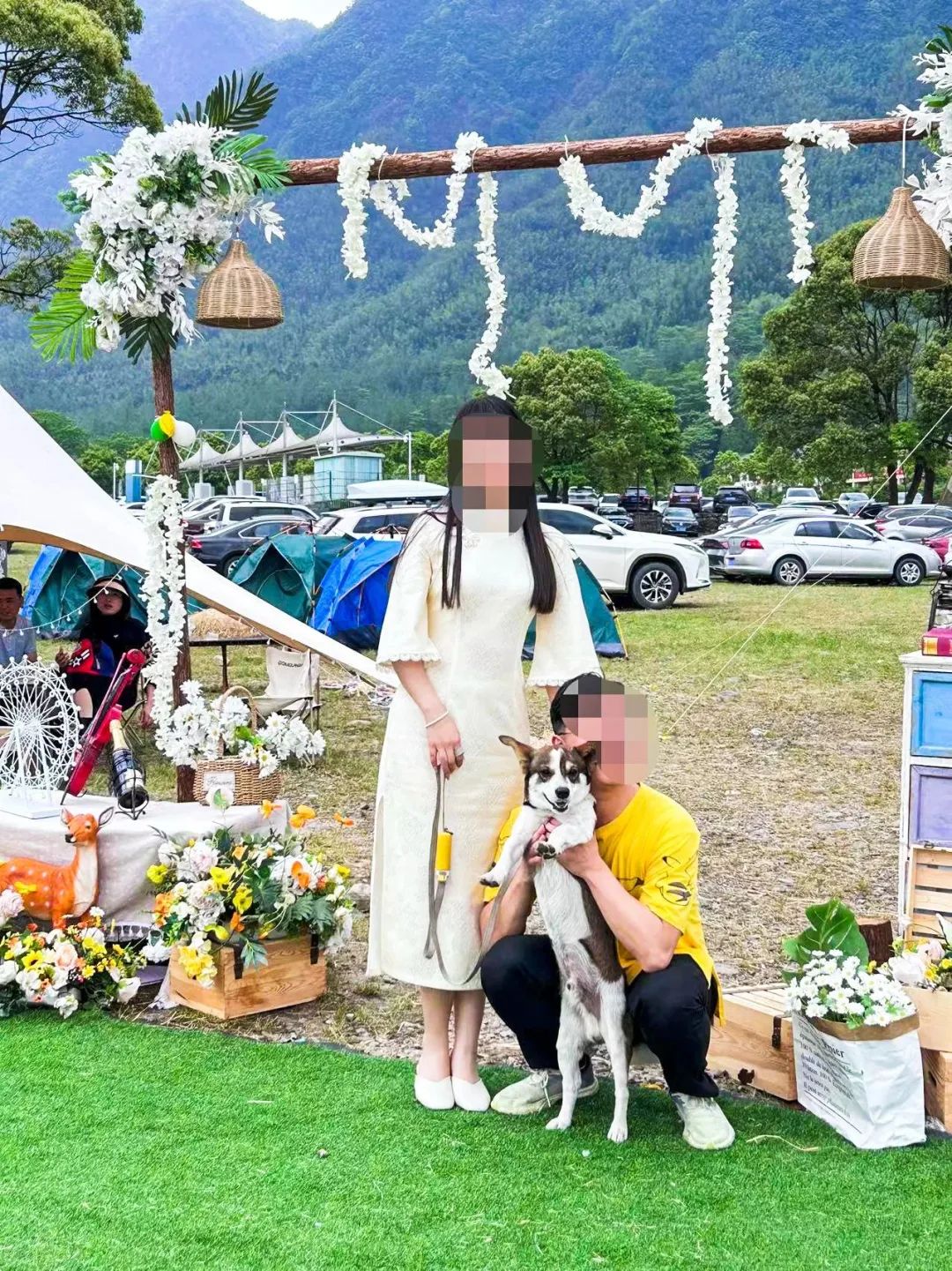 萌宠暴击！对不起我家狗子太萌了，想请你看一下！