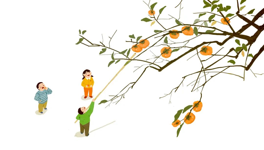 秋季干燥适合吃的水果,秋天干燥吃什么水果好