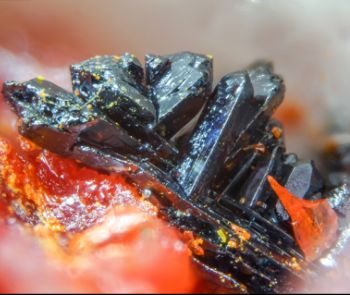 朱令去世，何谓铊中毒