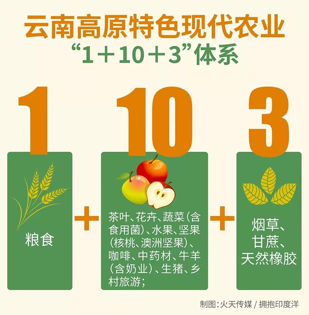 云南去哪买特产比较好又便宜,去云南买什么特产最划算