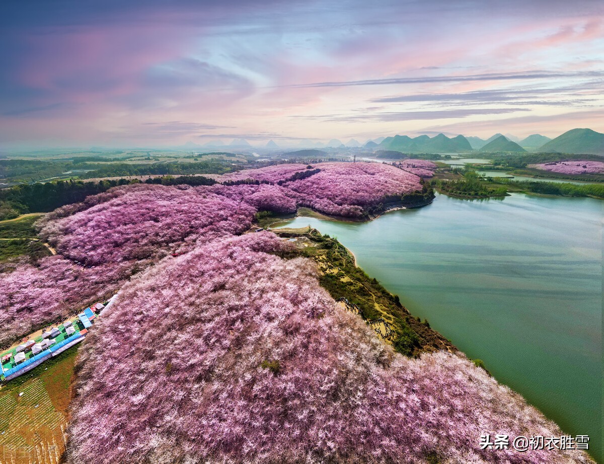上巳节三月三美诗六首：杨柳春风三月三，十二红楼卷绣帘