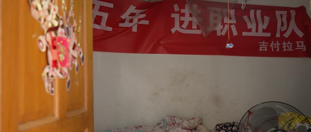 我要把拉马拍成阿甘