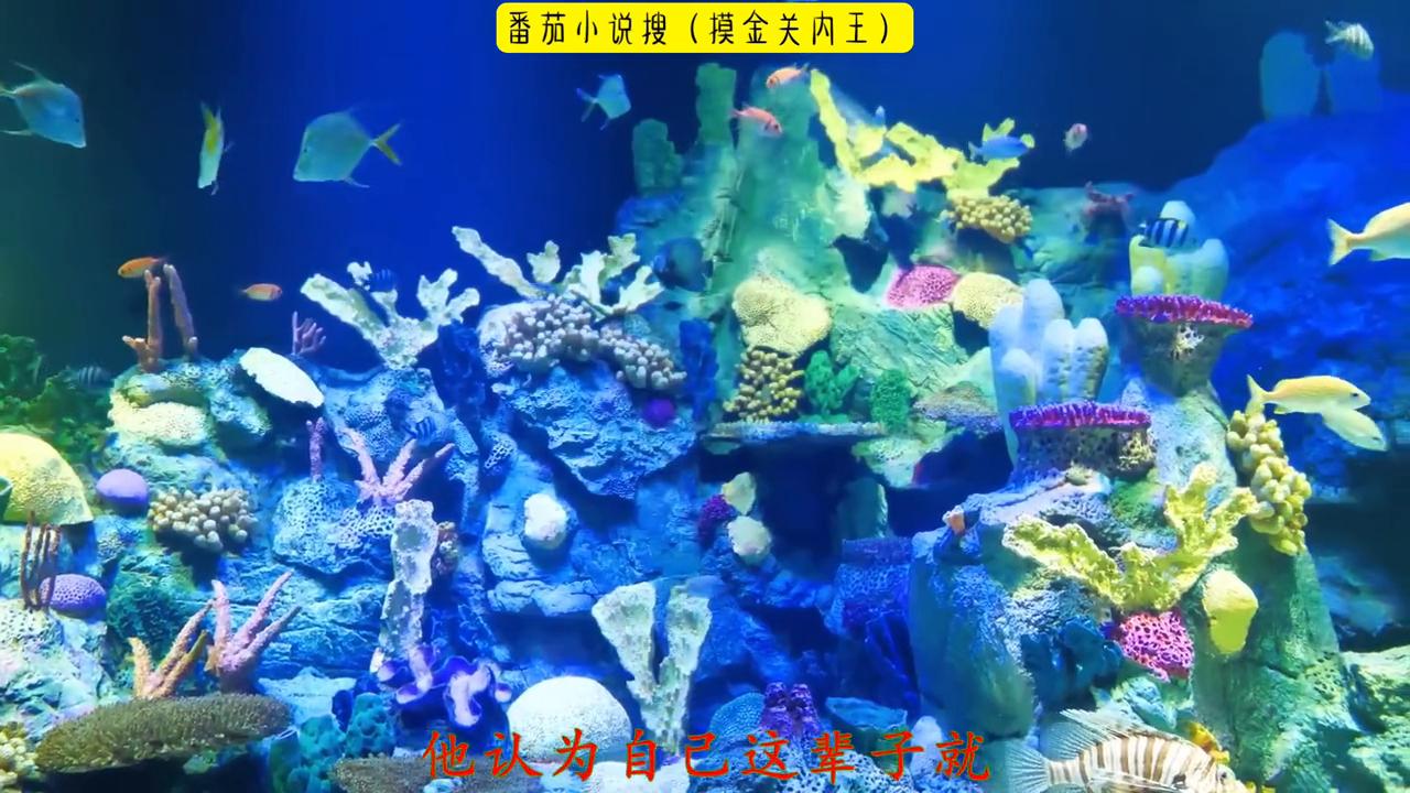 超爆小故事爱情,超爆小故事和校霸谈恋爱