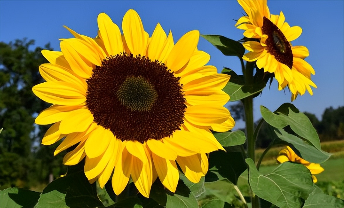 春夏适合去的景点,春夏秋冬的代表景点