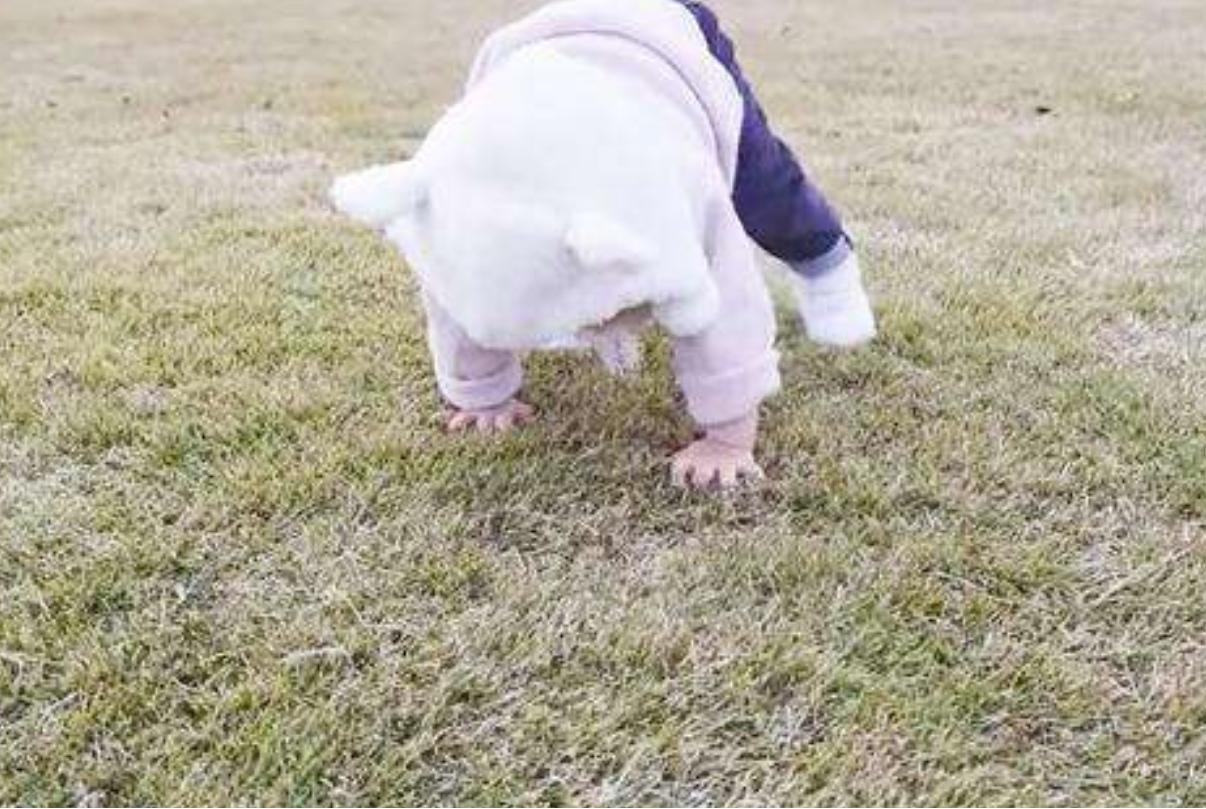 10年前被父母逼迫雪地奔跑,10年前被爸爸逼的雪地里跑步