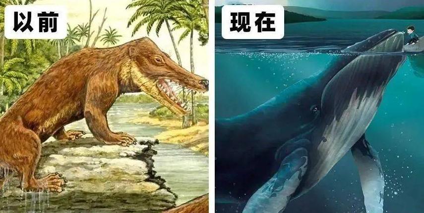 豆瓣排名第五摄人心魄的好片,豆瓣8.6分今年看过最良心的电影