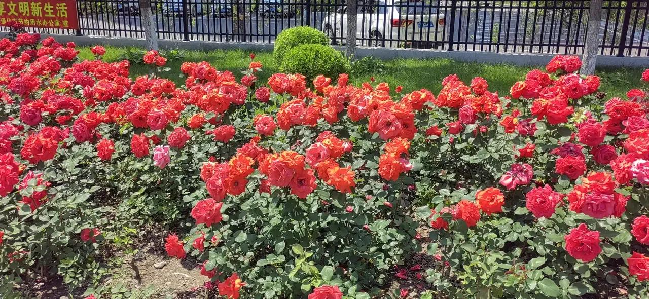 怎样对待和自己翻脸的亲人,怎么对待翻脸的人