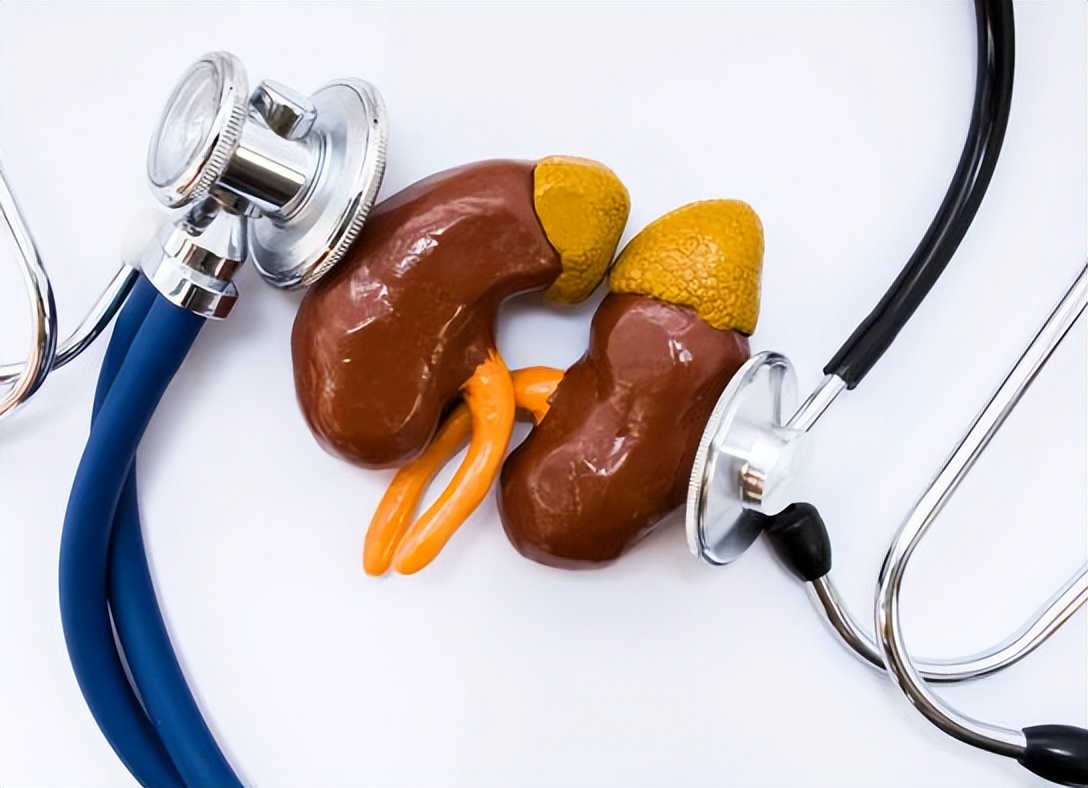 得了肾囊肿该怎么办,查出肾囊肿