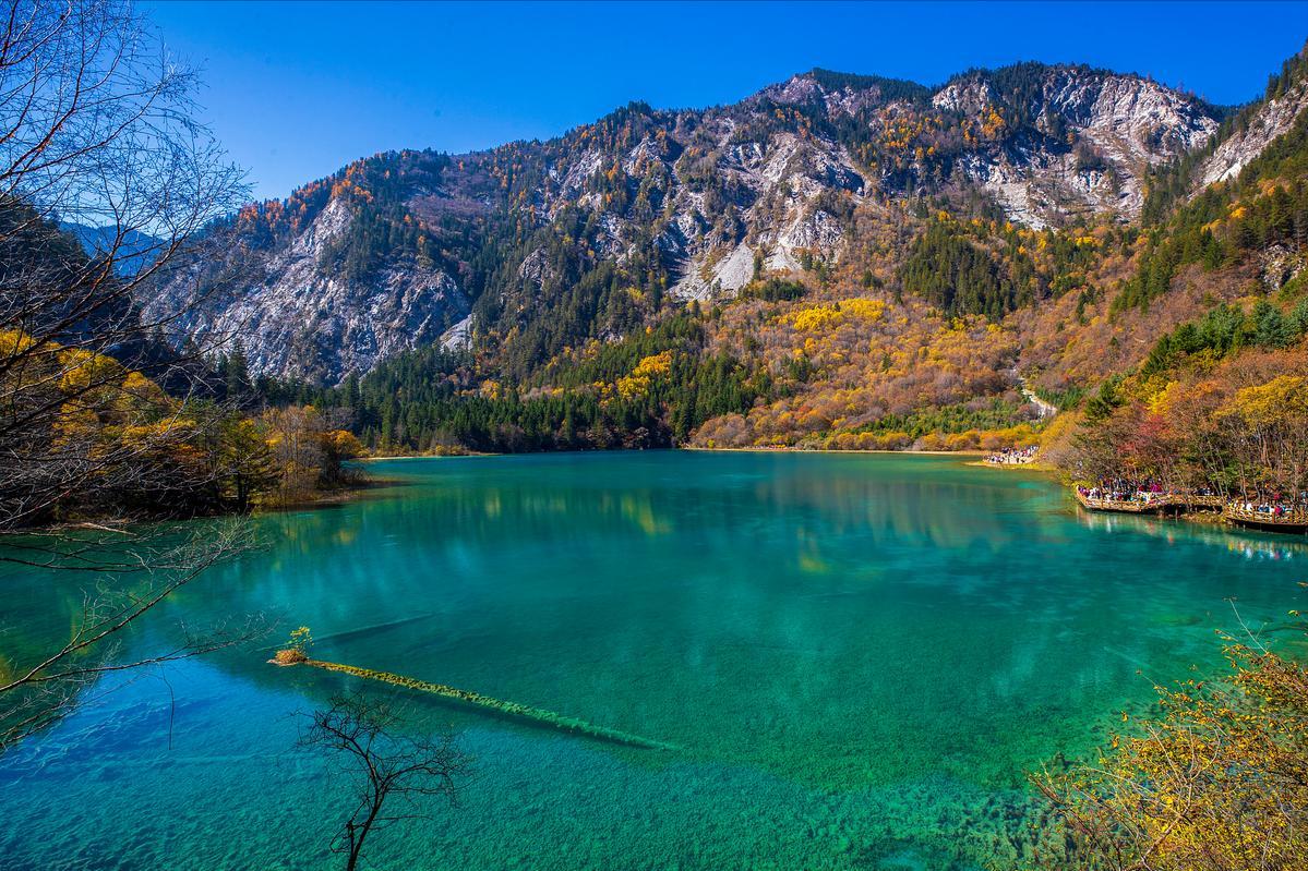 九寨沟景点路线攻略一日游,九寨沟景点攻略一日游