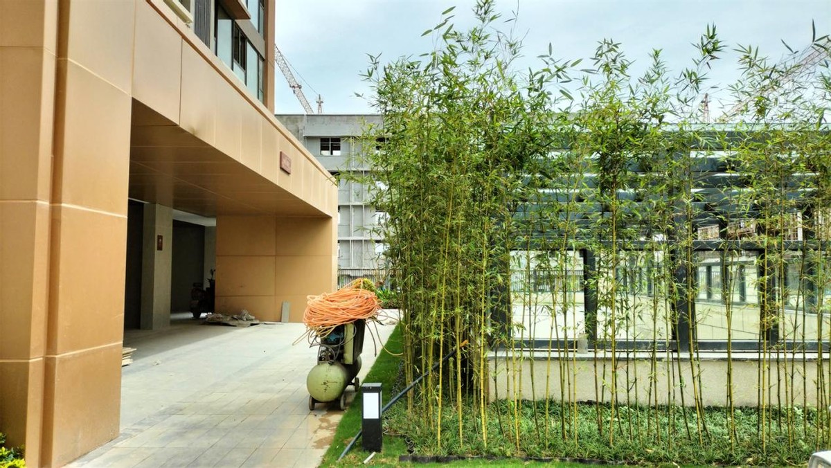 乐富强文宸悦府最近情况,乐富强文宸悦府是小庙吗