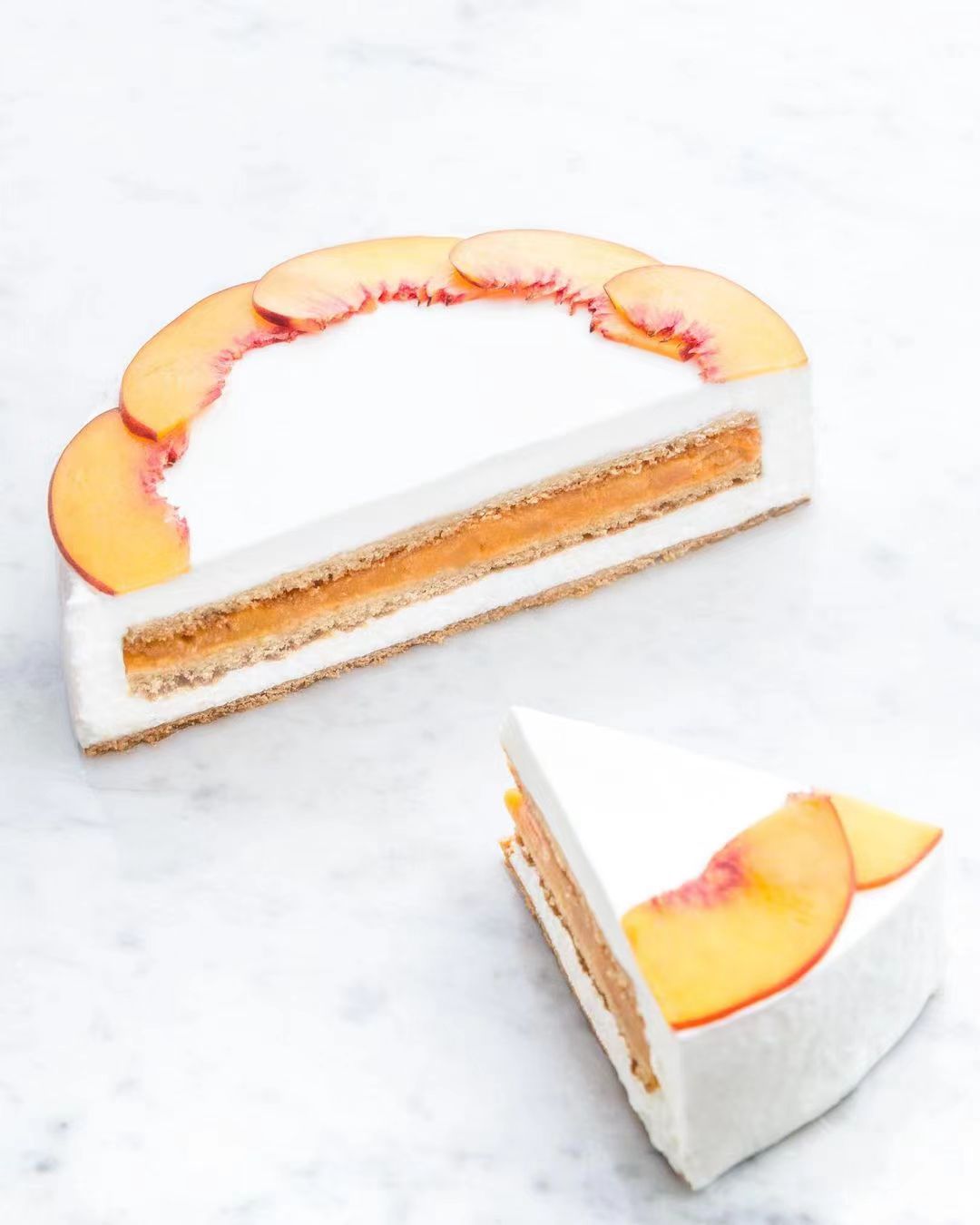 蛋糕切面,蛋糕两层夹心切面图片