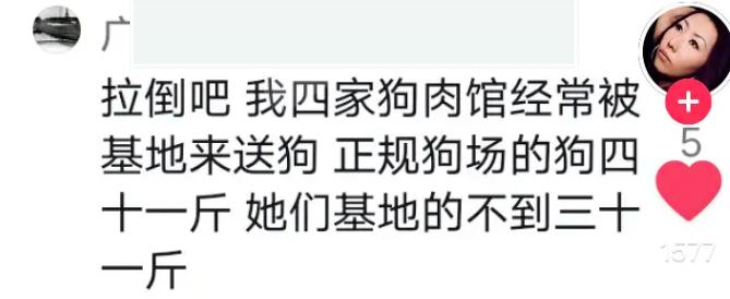 百万网红虐狗事件是真的吗,虐狗事件网红账号被封号