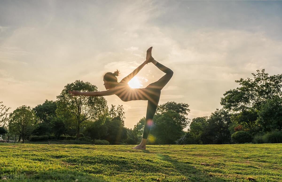 基础正位瑜伽体式,瑜伽正位体式教学视频