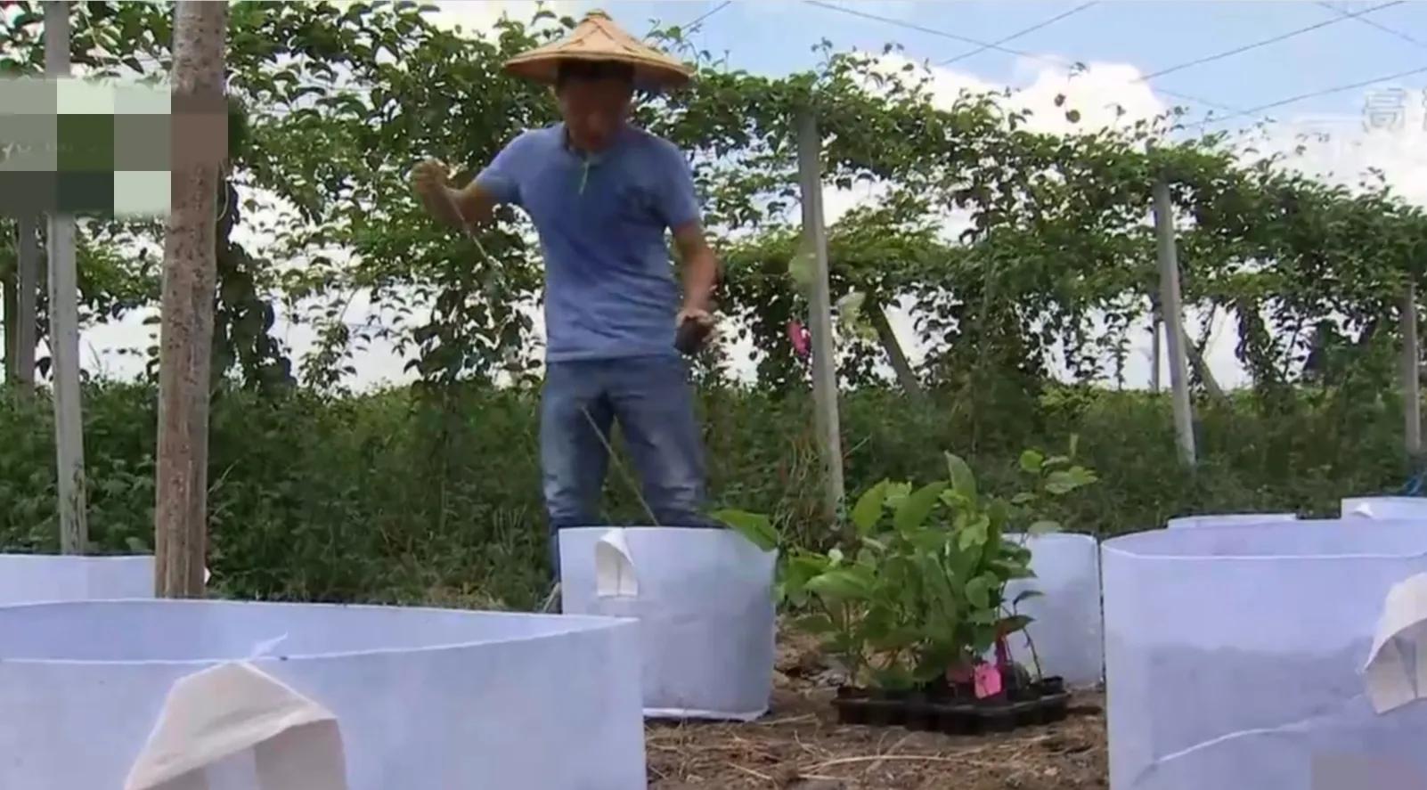 90后小伙承包15亩果园,湖南小伙承包五千亩四年赚上千万