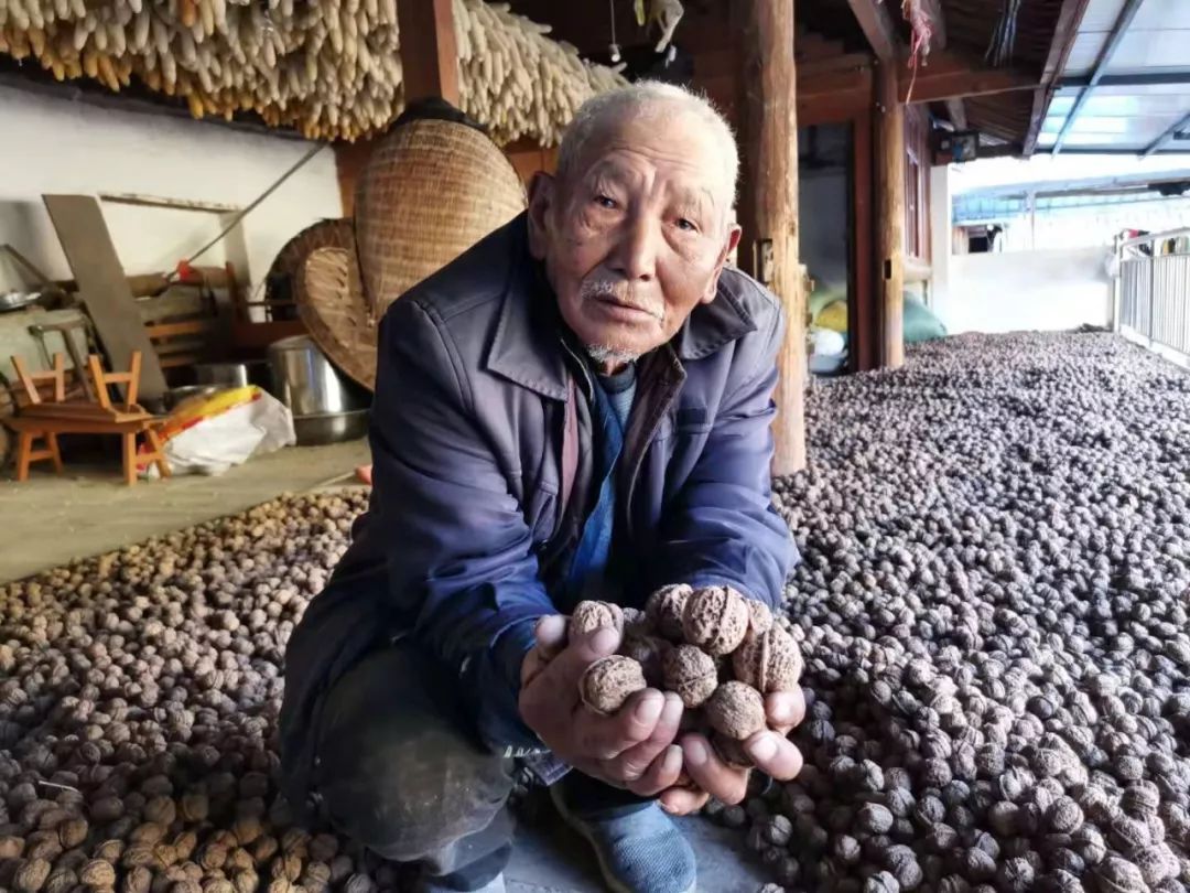 核桃引发肝癌,肝功能受损的人可以吃核桃吗