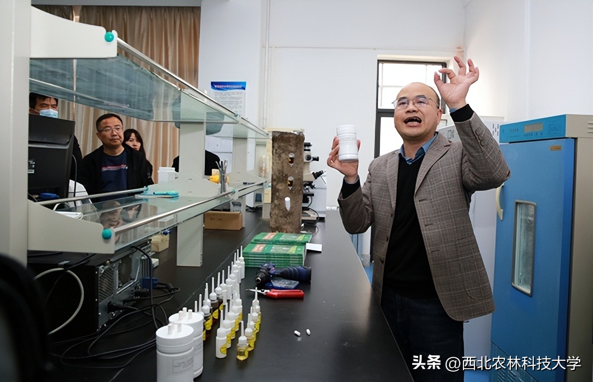 【奋进新征程】（9）秦岭有卫士：杀小虫，保青山