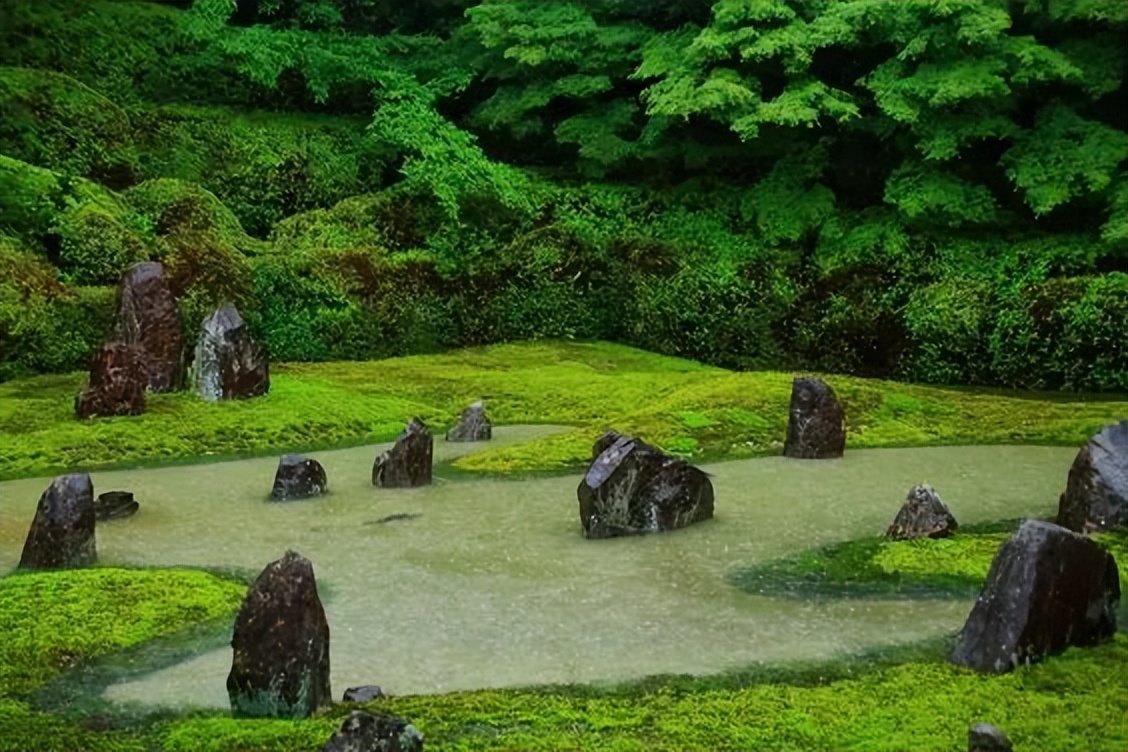 日本枯山水景观,日本枯山水中的树是什么树