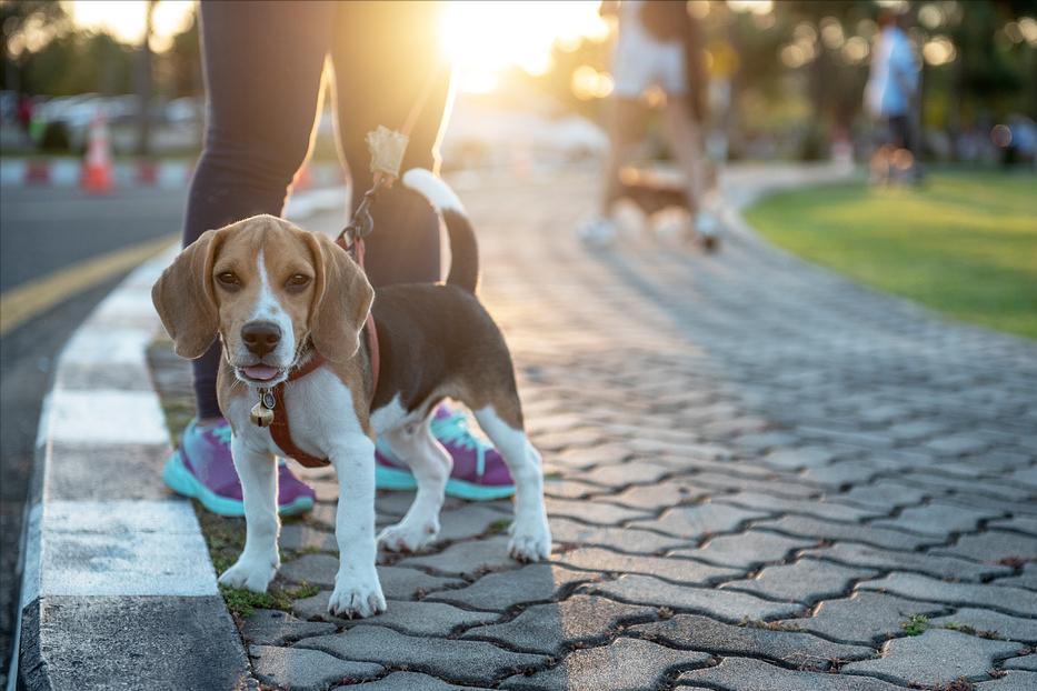 偏阳体质初愈不宜吃哪些,阳变阴前后不能吃什么