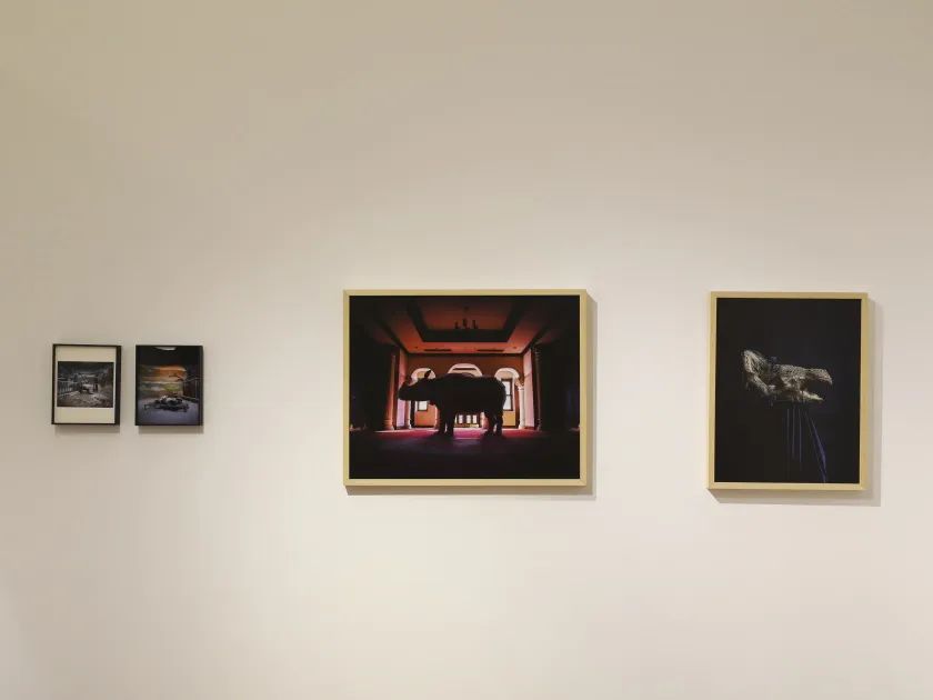 这个跨界大展开幕十余天后，现在孤独地封存在美术馆展厅里