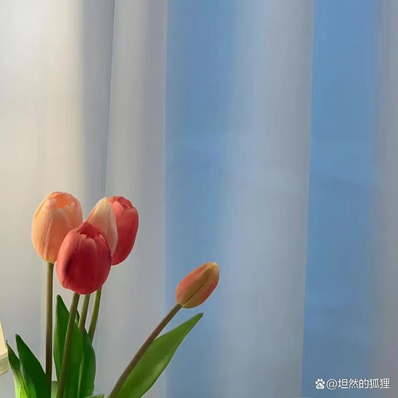 人的一生有时间和自己度过的,人最重要的是过好自己的日子