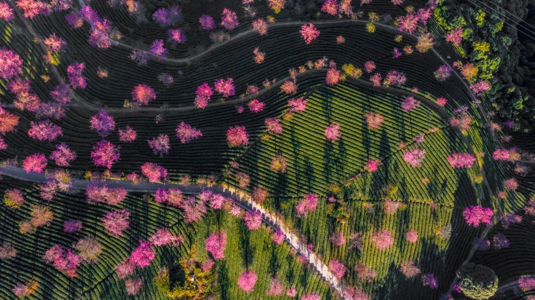 有一种生活叫做云南的生活,有一种叫云南的生活原文