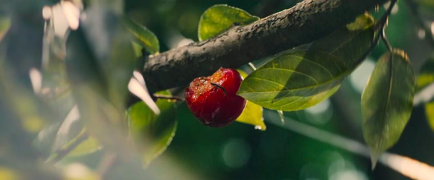 韩国“悬疑女王”千禹熙新片《虽然只是弄丢了手机》高能反转*片爽**