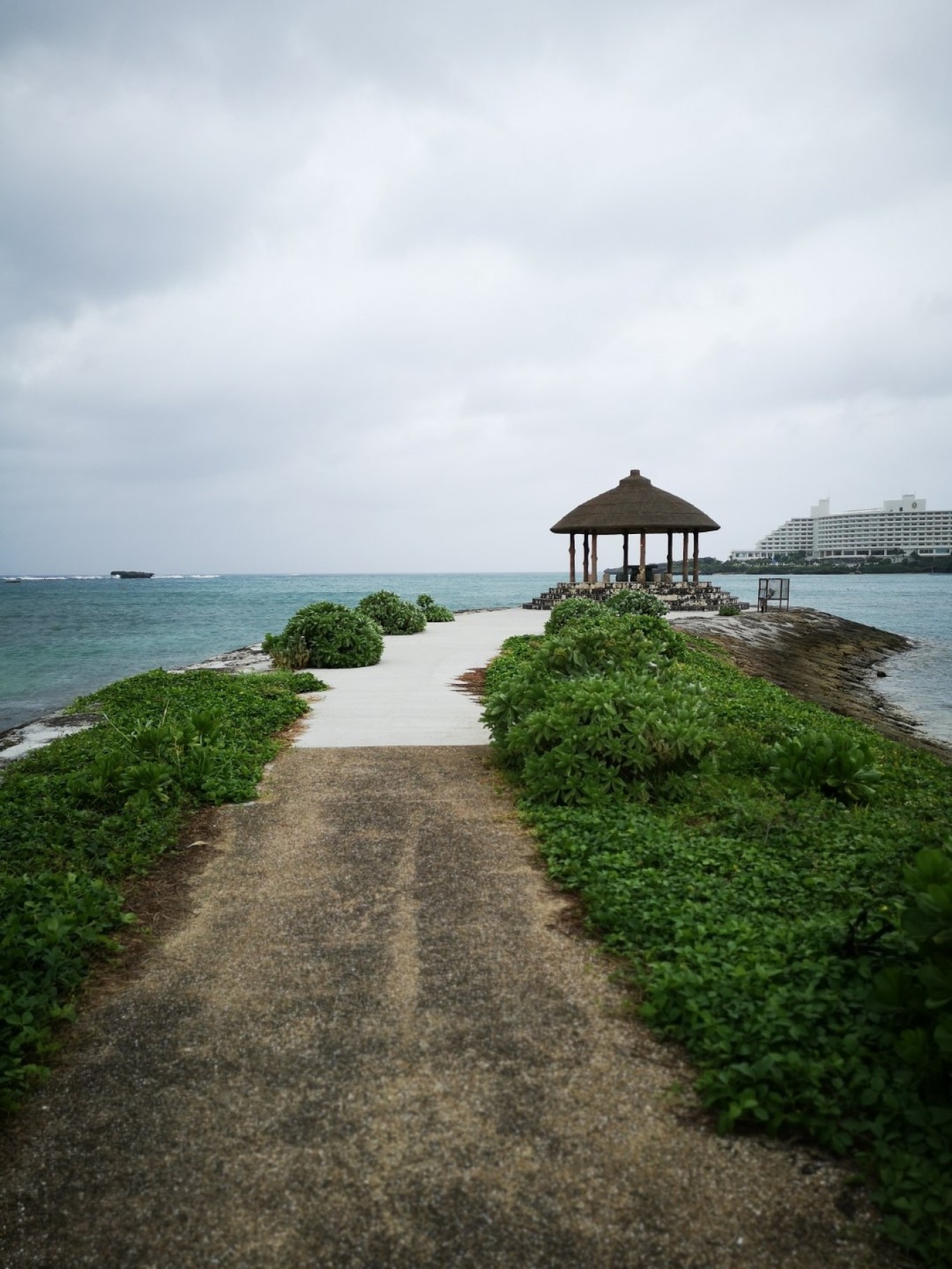 暑期档2019年,2019年暑期档