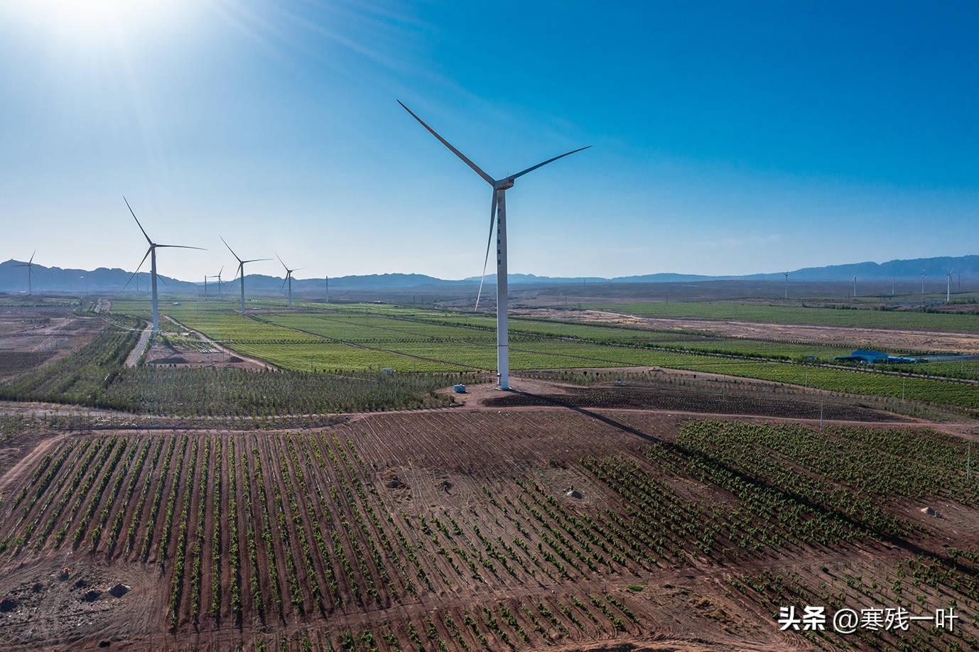 宁夏酒庄旅游景点大全,花6亿打造葡萄酒