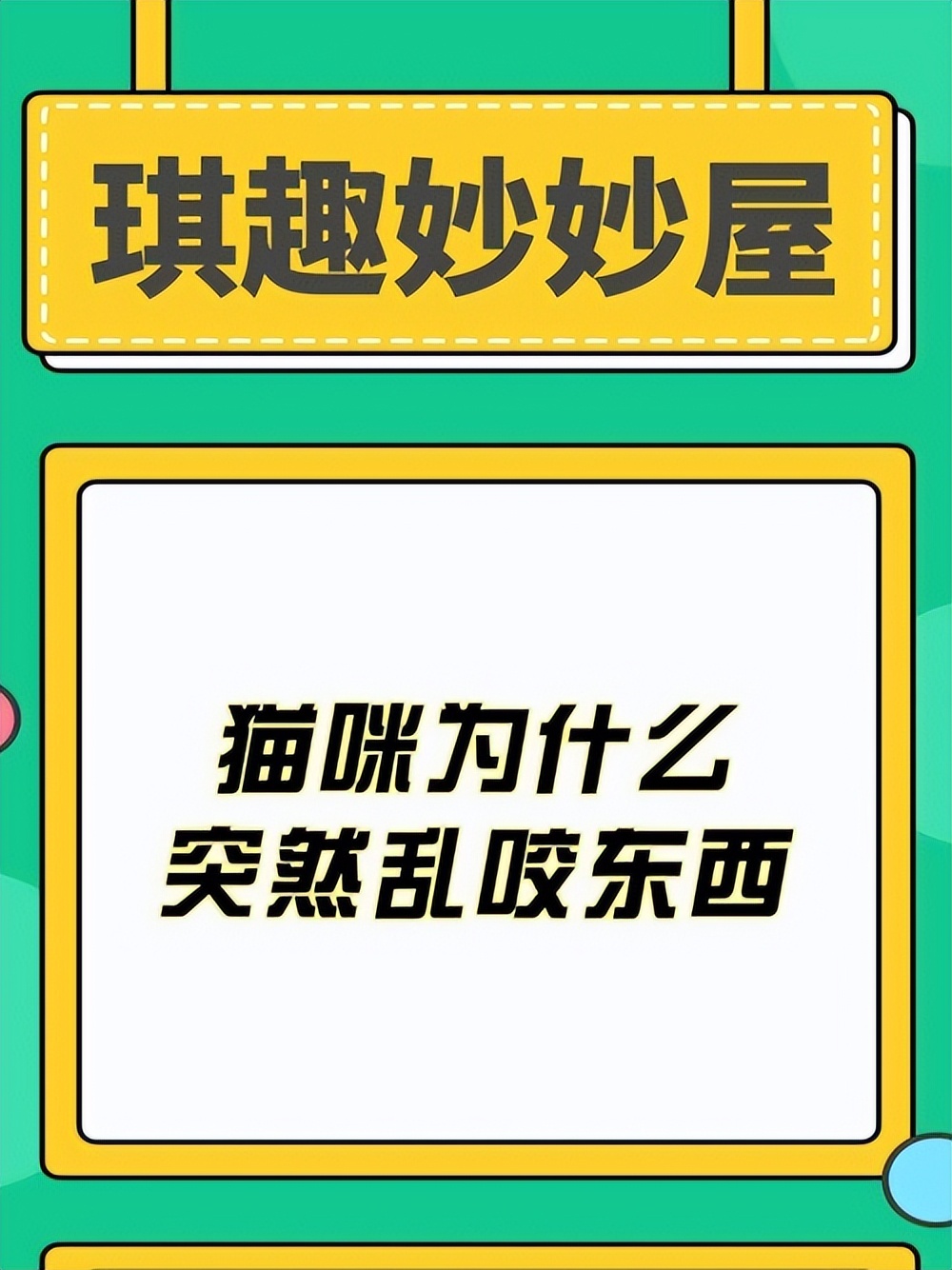 猫咪为什么突然疯了一样的咬东西,猫咪总咬东西是什么原因