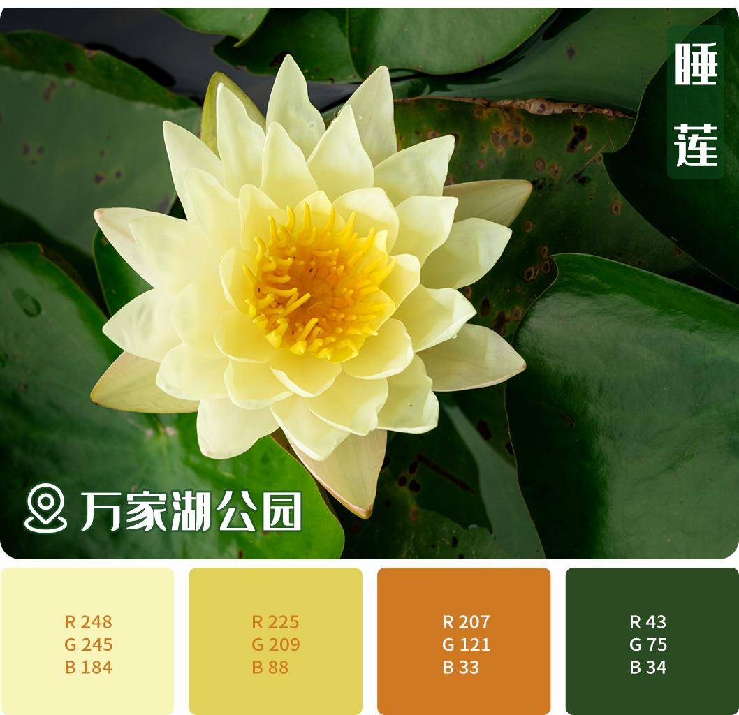 车谷灯光秀,车谷光影秀