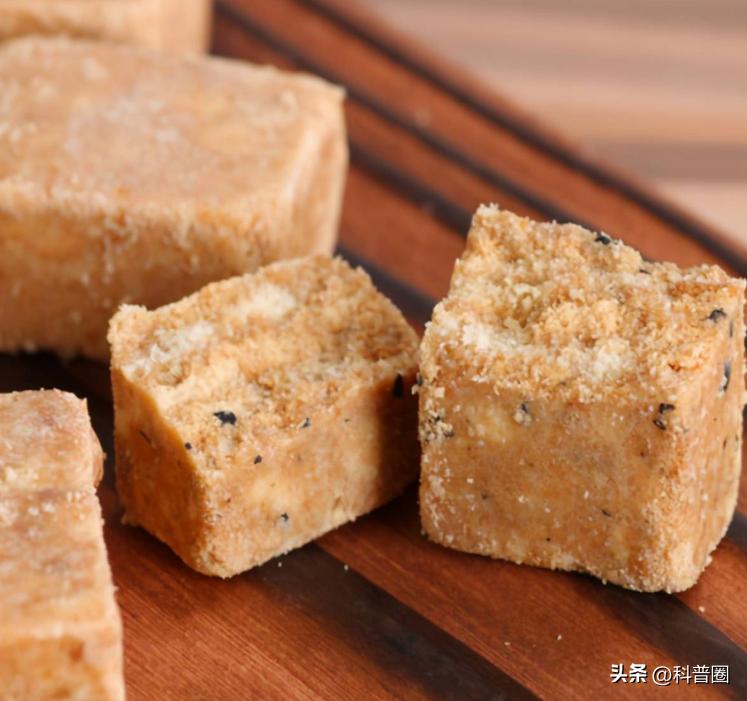 吃一块军用压缩饼干,吃一块军用压缩饼干就能顶一整天