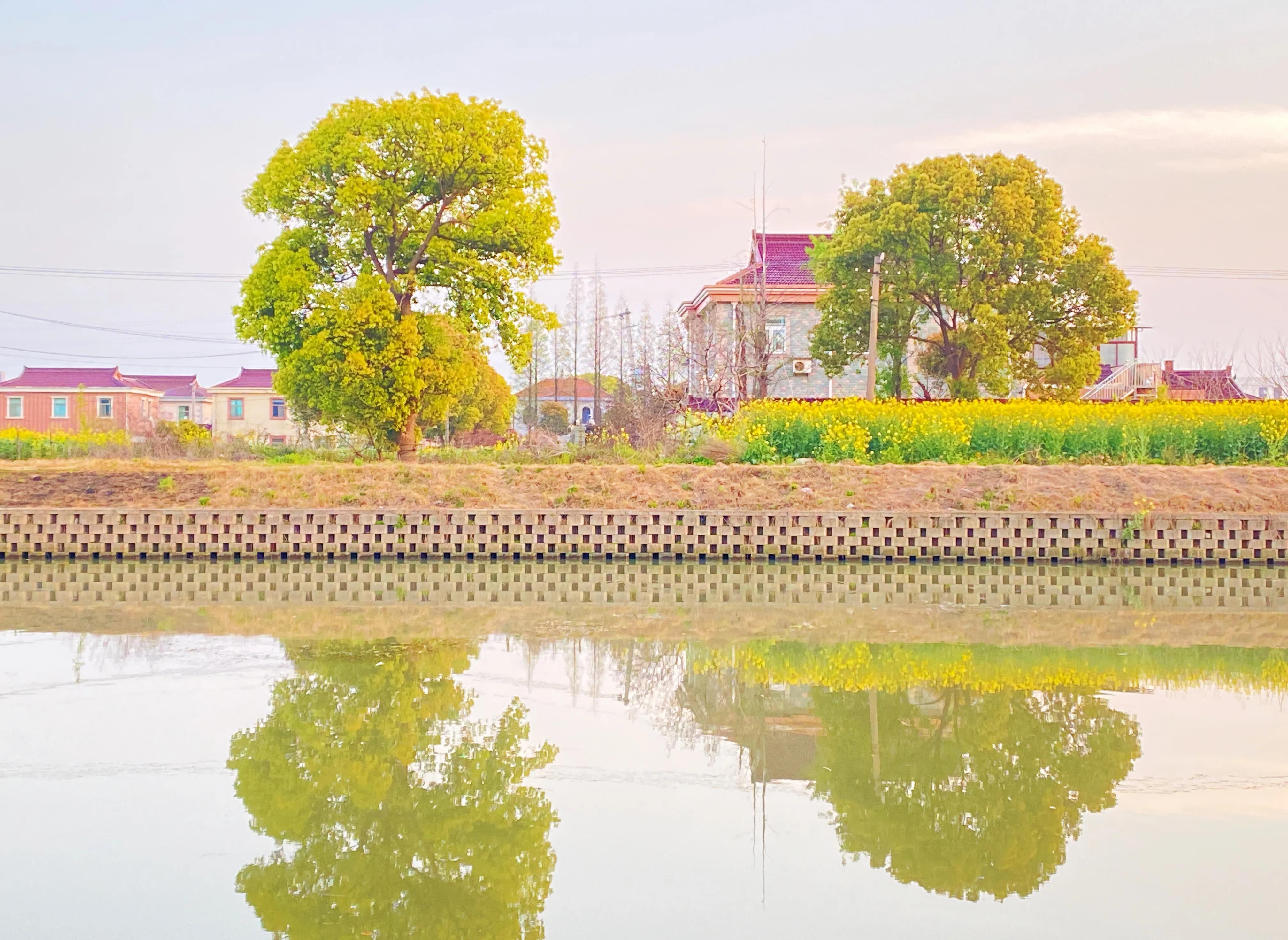 苏州渭塘风景,苏州渭塘古镇