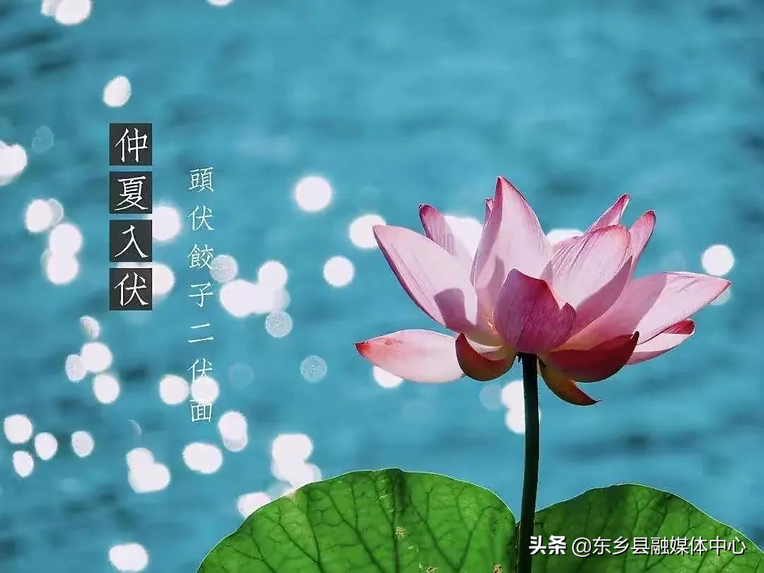 三伏天入伏计算公式,三伏天入伏壁纸