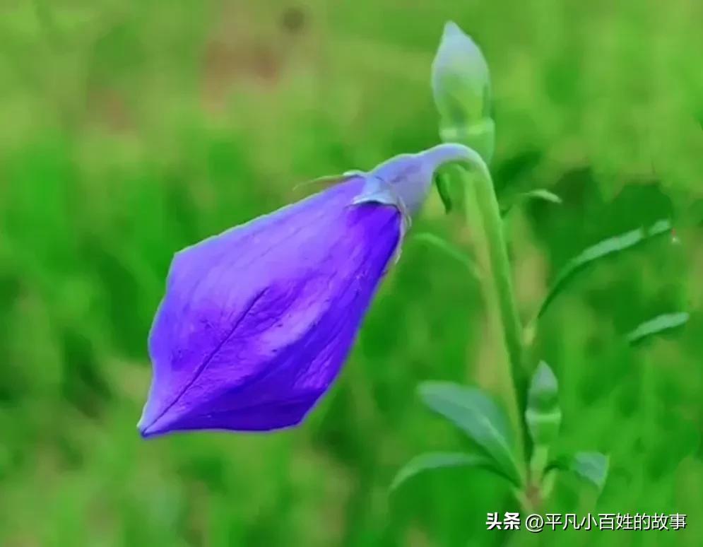 有多少人做过这样的梦呢,做一些很真实的梦是什么原因