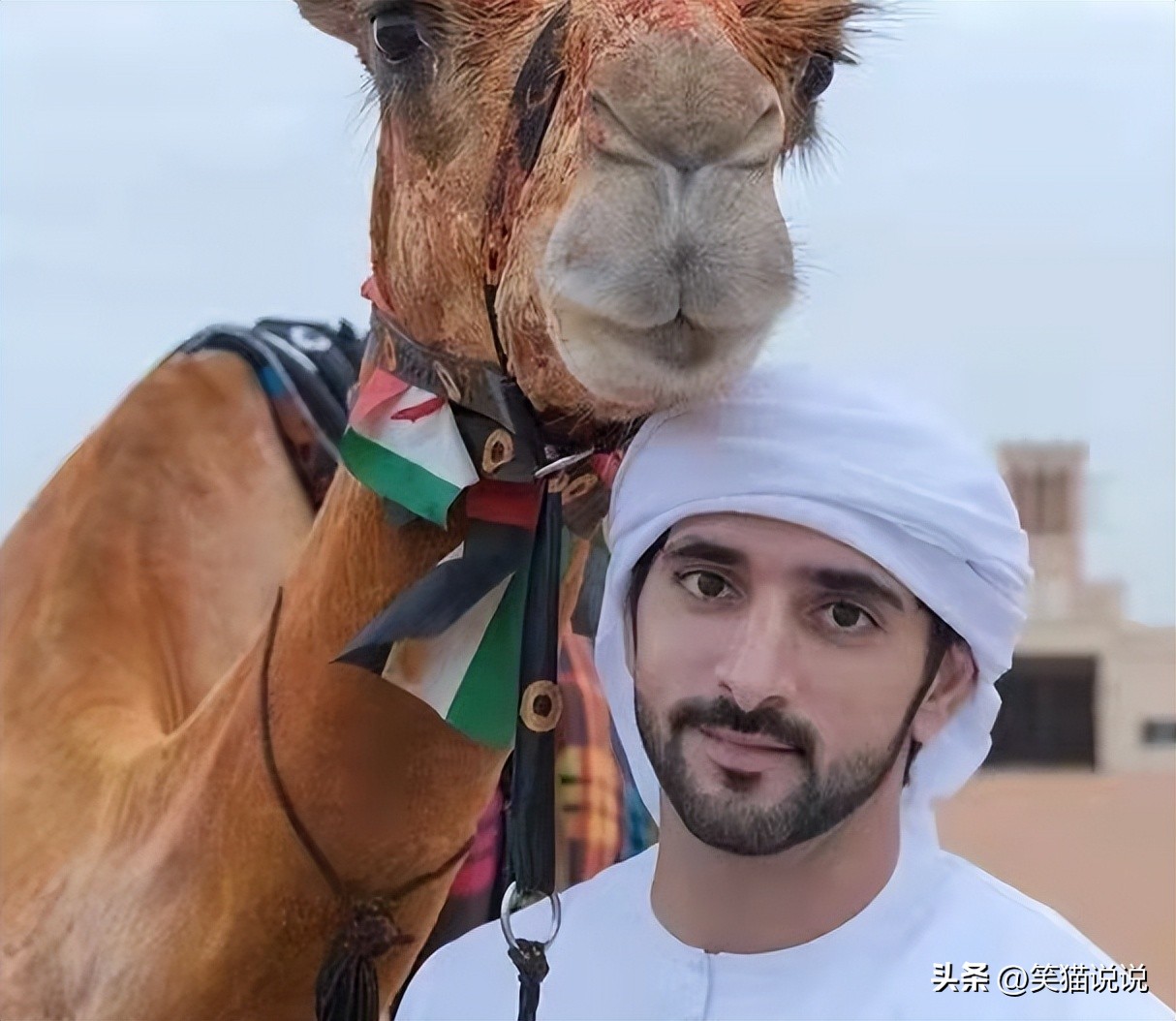 粉丝送迪拜王储帽子,粉丝追星天花板