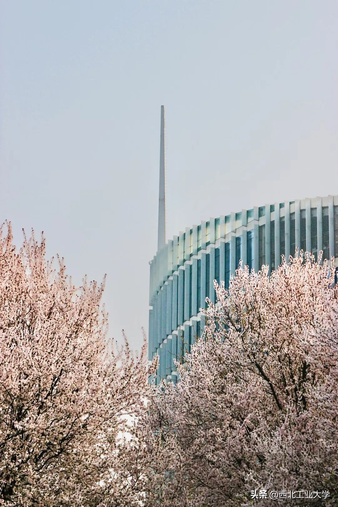 今日雨水!工大四季高清美图，欢迎欣赏使用~